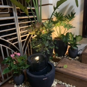 Đài phun nước Franoma Comilla