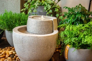 Đài phun nước Franoma Comilla