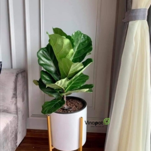 Chậu composite cao cấp tại Vinapot