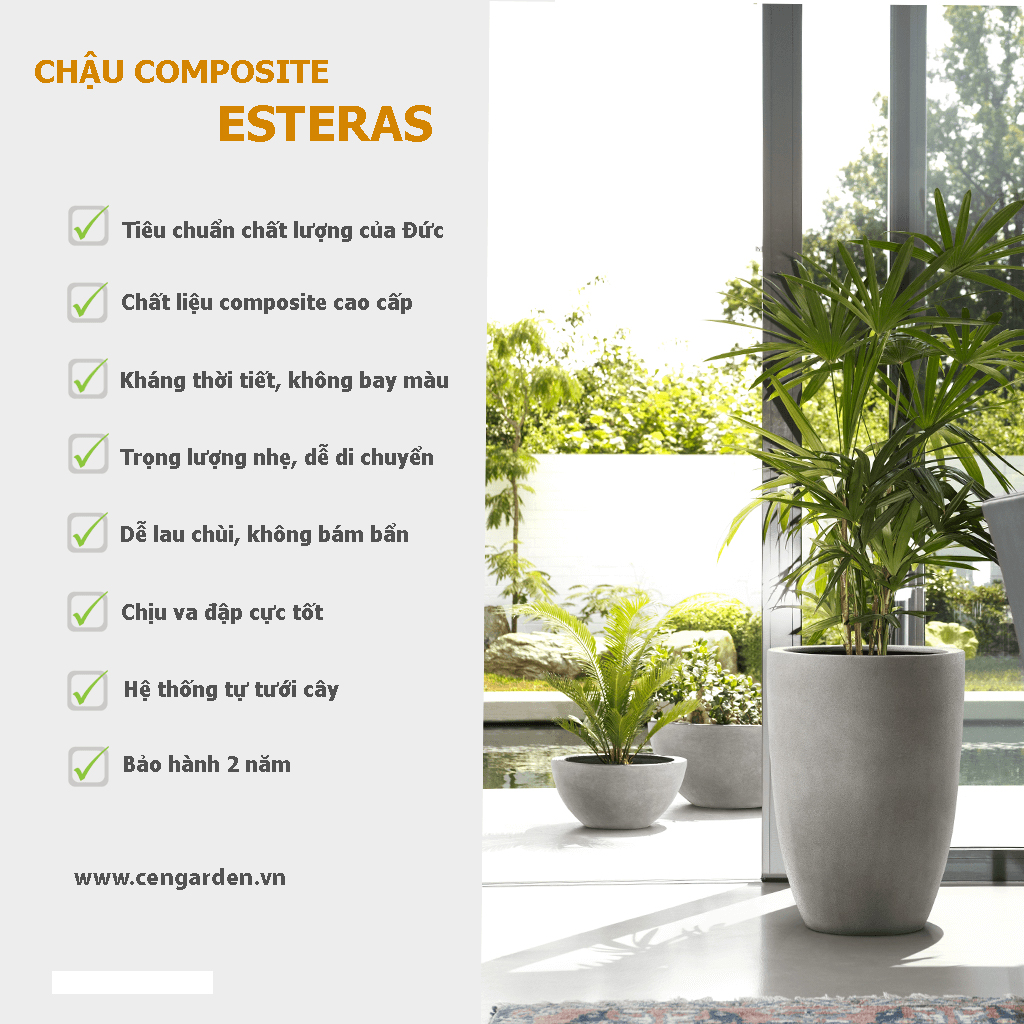 chậu esteras