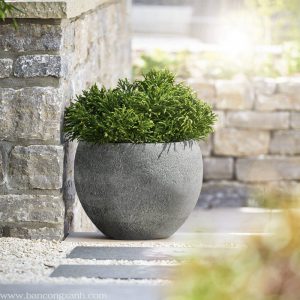 Chậu Composite Esteras