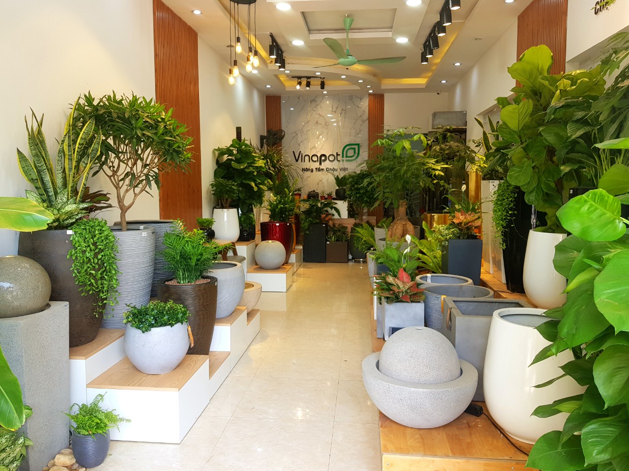 chậu cây cao cấp