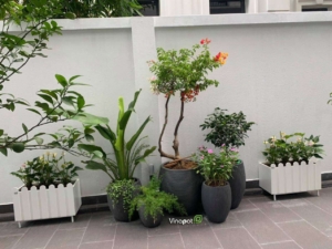 Chậu Vinapot đa dạng kích thước theo yêu cầu của khách hàng