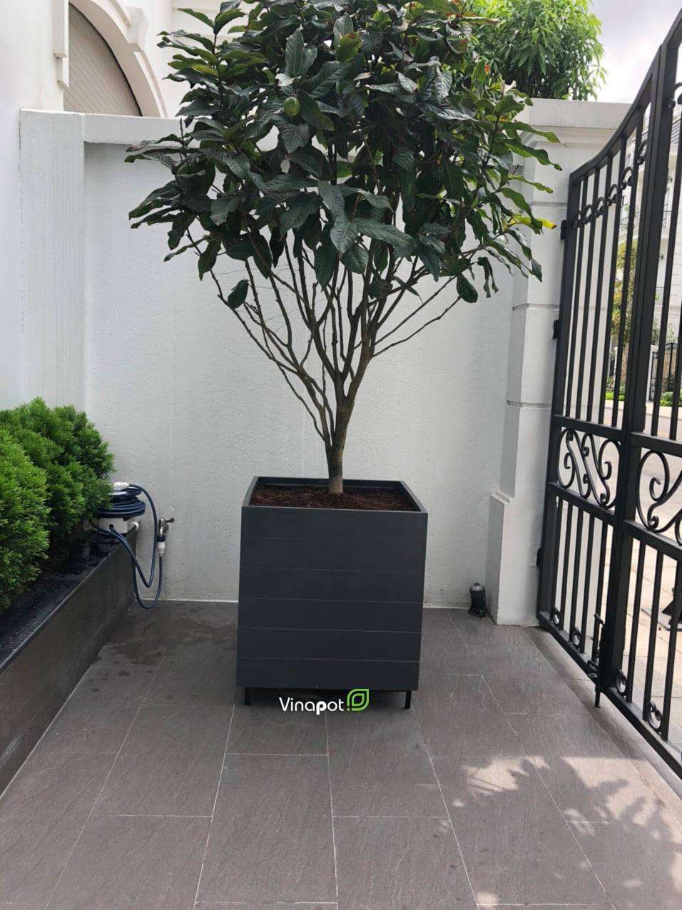 Chậu composite kích thước theo yêu cầu