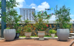 Chậu cây cao cấp Vinapot làm từ vật liệu composite nhẹ, siêu bền