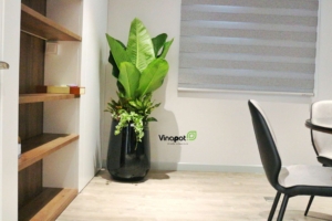 Thiết kế hiện đại của chậu tự dưỡng Vinapot