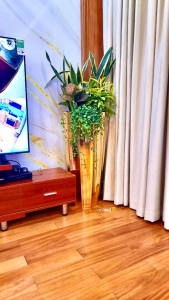 Chậu composite tự dưỡng giao cho khách hàng