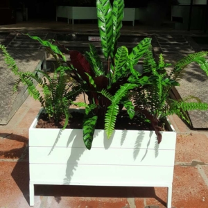 Chậu gỗ nhựa cao cấp Picowood