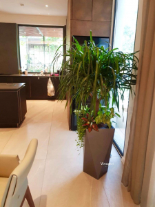 Chậu composite tự dưỡng giao khách tại Starlake Tây Hồ Tây