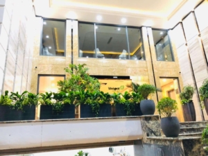 Chậu Vinapot nhận được sự tin tưởng của khách hàng