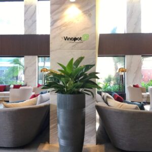 Chậu cây composite