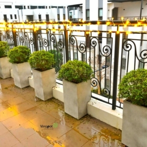 Chậu cây cao cấp Vinapot trang trí không gian nhà ở