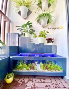Chậu bể cá cao cấp Picowood của Vinapot