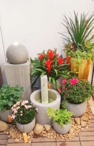 Set chậu tiểu cảnh Vinapot trang trí không gian thêm ấn tượng