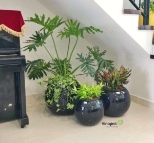 Set chậu tiểu cảnh Vinapot trang trí không gian thêm ấn tượng