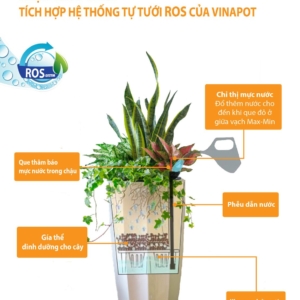 Chậu tự tưới