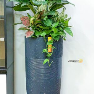Chậu composite Vinapot