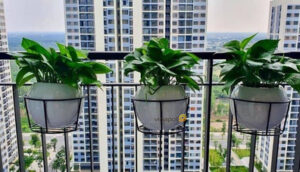 Chậu để bàn tự tưới Handble Vinapot
