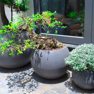 Chậu xi măng nhẹ xuất khẩu Vinapot