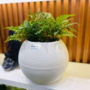 Chậu để bàn tự tưới SROS Carey