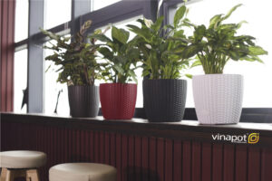Chậu để bàn tự tưới SROS Darby
