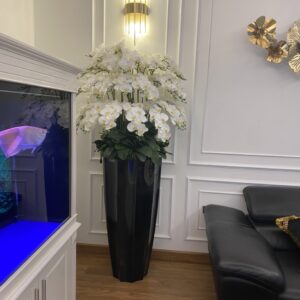 Chậu composite cắm lan Tết