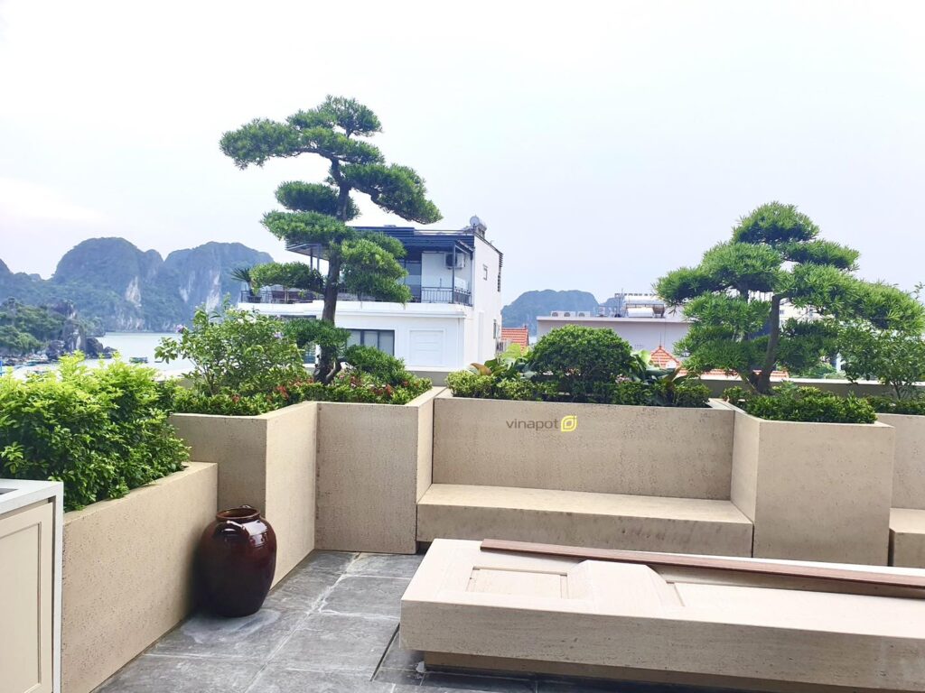 chau-cay-composite-chu-nhat