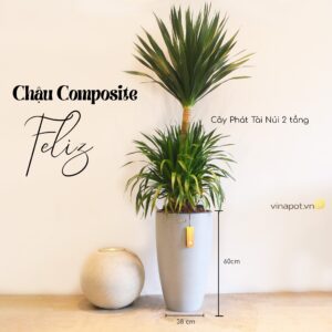 chau-composite-tu-tuoi-feliz