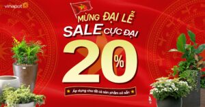 chau-composite-be-mat-da-polystones-f6-chu-nhat-ngoai-troi