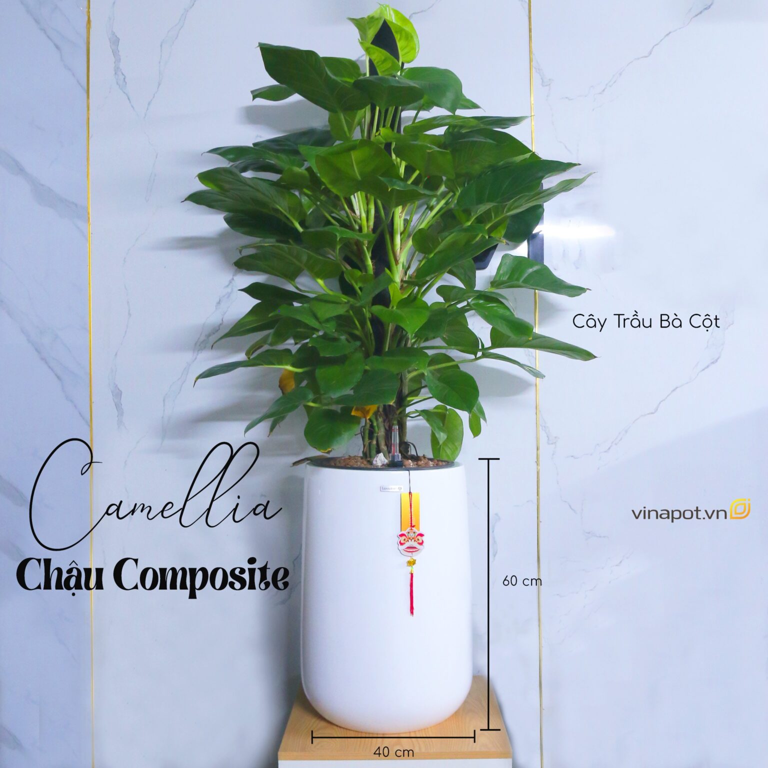 chau-composite-tu-tuoi-camellia