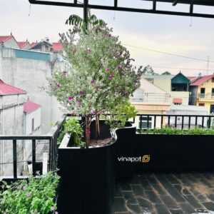 chau-cay-composite-co-lon-xxl