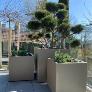 ưu điểm chậu trồng cây composite