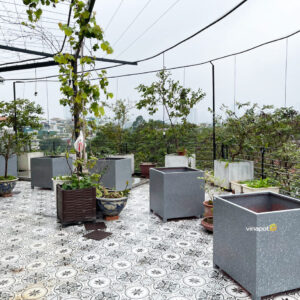 chau-cay-composite-co-lon-xxl