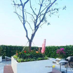 chau-cay-composite-co-lon-xxl