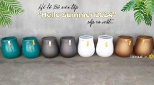 chau-cay-composite-hello-summer-2024