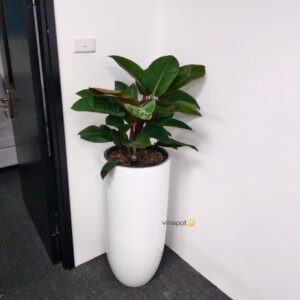 chau-emeral