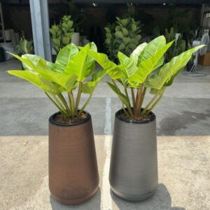 Chậu cây composite Vinapot đẹp, phù hợp trang trí không gian xanh.