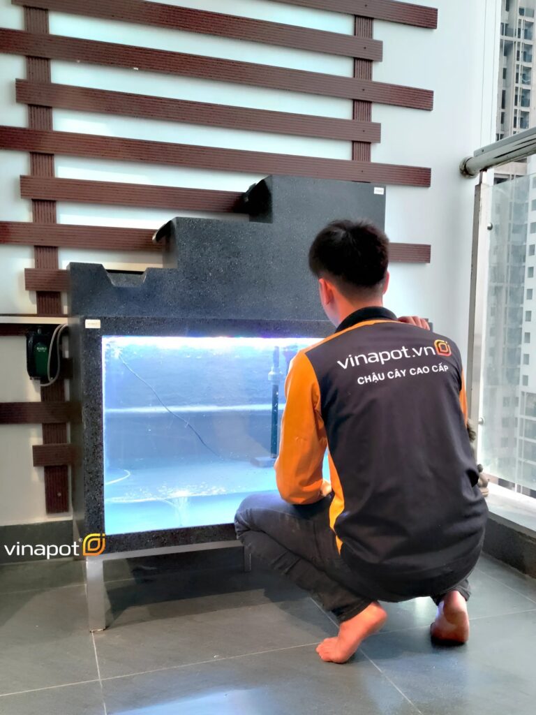 bể cá composite