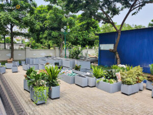 Chậu bề mặt đá bo cong trường BIS 9