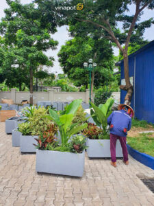 Chậu bề mặt đá bo cong trường BIS 8