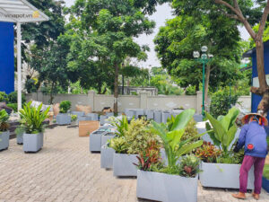 Chậu bề mặt đá bo cong trường BIS 7