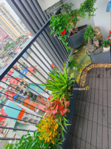  Bể Cá Composite Kính Cong tại ban công chung cư Vinhomes 6