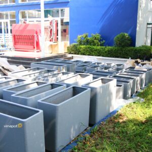 Chậu bề mặt đá bo cong trường BIS 2