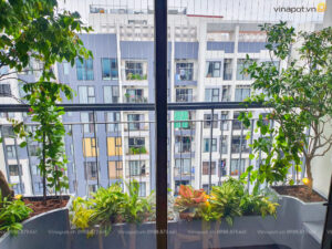 Ban Công Căn Hộ Vinhomes