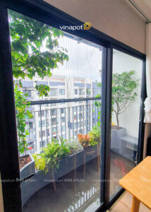 Chậu composite dáng cong 4