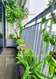 Chậu composite dáng cong 2