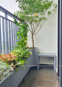 Chậu composite dáng cong 6