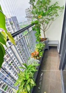 Chậu composite dáng cong 5