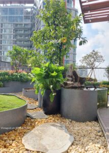 Chậu to size XXL tại tầng 29 Landmark Ecopark Hưng Yên 3