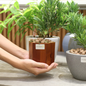 Chậu Composite tự tưới Vinapot ROS Helio cao cấp màu đá trang trí nội thất.